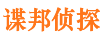 谢家集市侦探调查公司